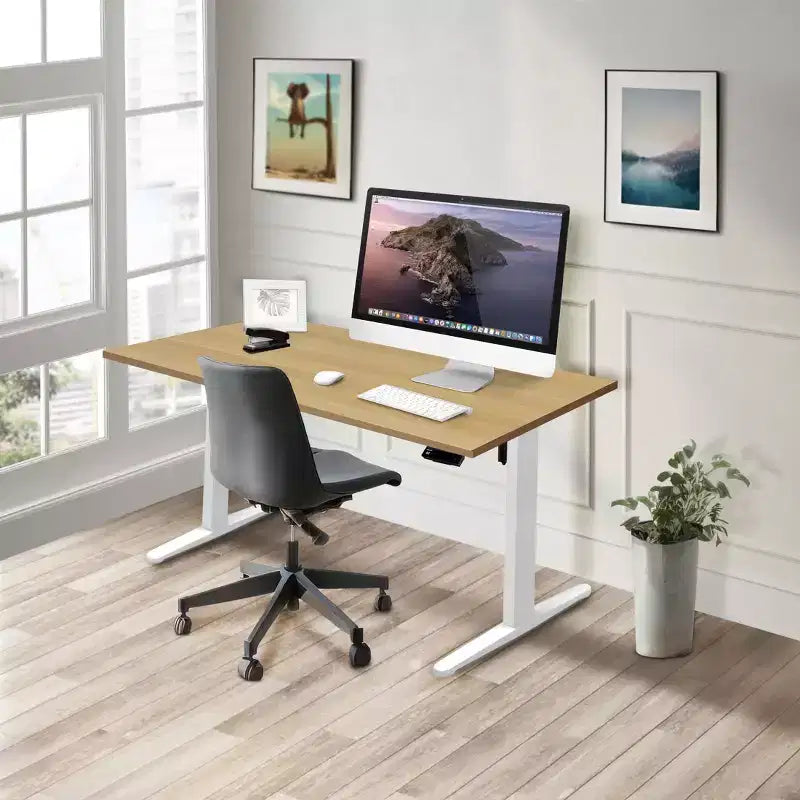 Electric Sit-Stand Desk with Tabletop - White / Maple